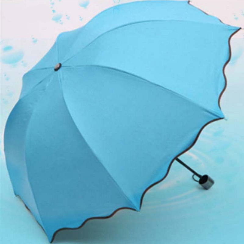 遇水开花 定制logo 创意阿波罗伞荷叶花边黑胶伞 晴雨伞 太阳伞