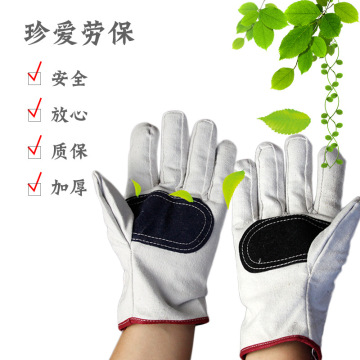 帆布加皮加绒里帆布通用劳保手套10双/扎均码白色工地建筑作业