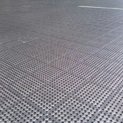 鑫桐轩车库塑料排水板 凹凸型塑料排蓄水板厂家直销 广东筛网可定