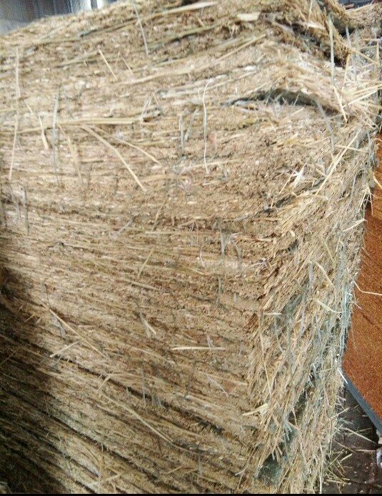 学生宿舍床棕垫天然椰棕床垫双人椰棕垫单人麻草草垫批发定做