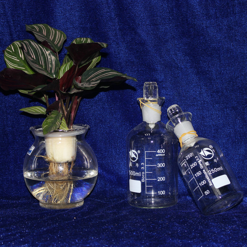 蜀牛污水瓶 溶解氧瓶棕色细口瓶 磨口试剂瓶耐高温带刻度可定制
