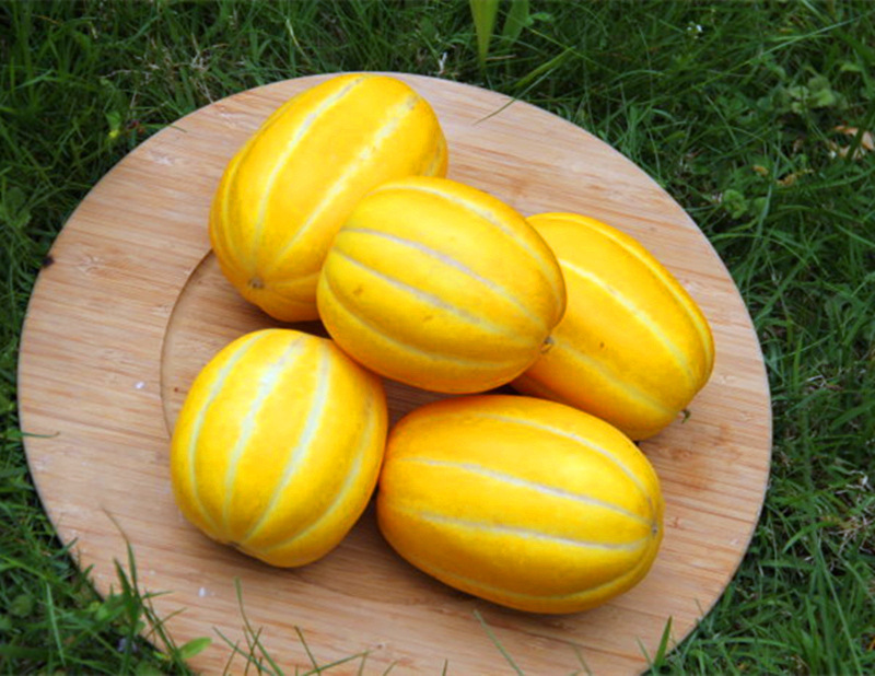 香瓜种类名称图片大全,小香瓜图片大全,梨瓜图片_文秘苑图库