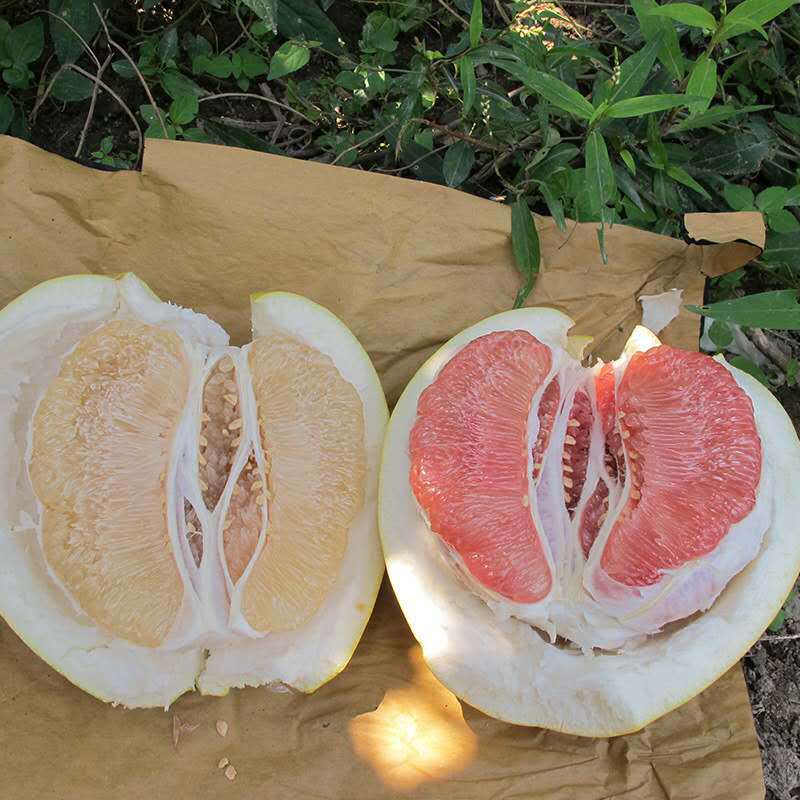 央务数字商品交易中心