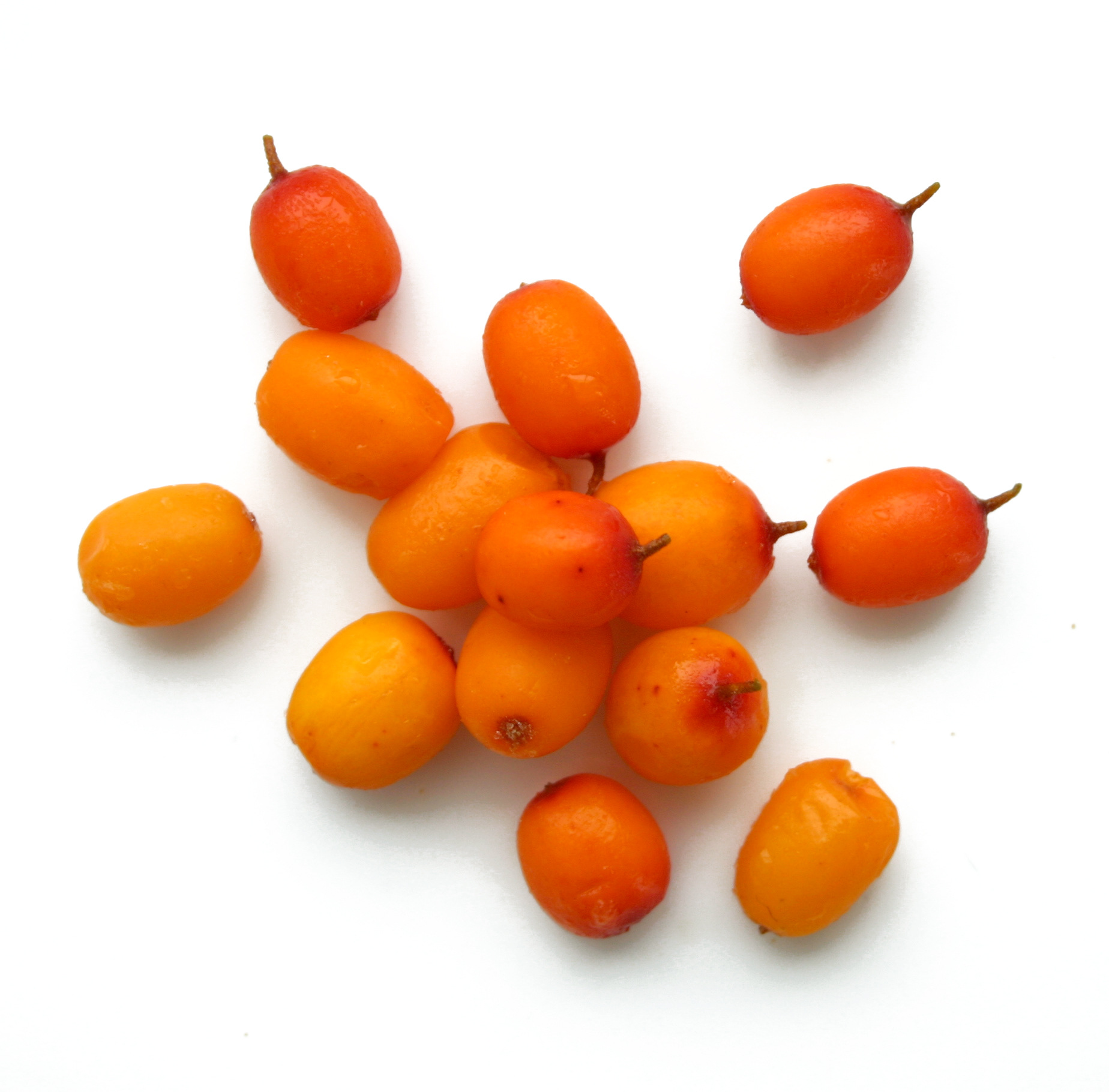 揭秘沙棘汁涂在身上可以减肥是真的吗