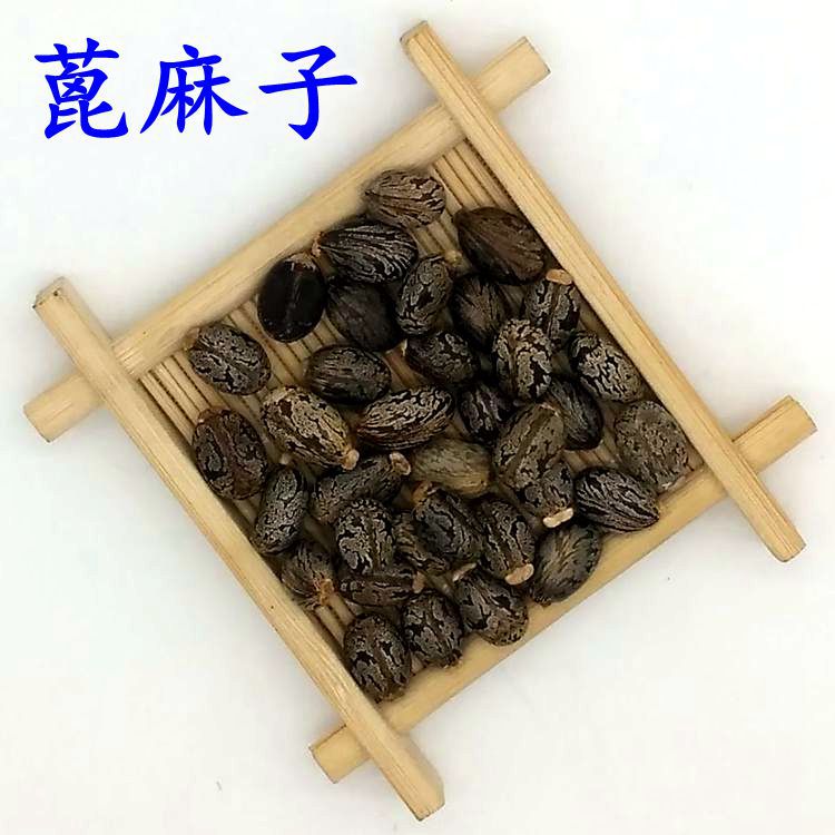 药材 蓖麻仁 蓖麻籽 蓖麻子-阿里巴巴