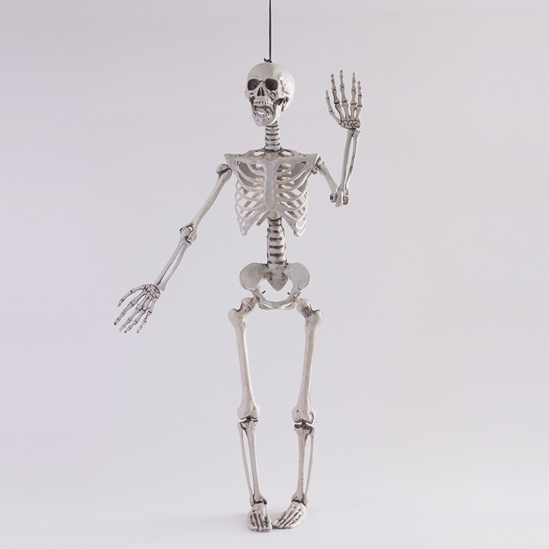 万圣节骨架仿真骷髅165cm人体骨骼模型鬼屋恐怖圣诞礼物道具