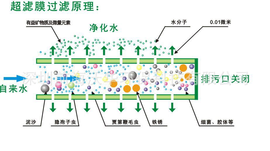 沼泽过滤 图解图片