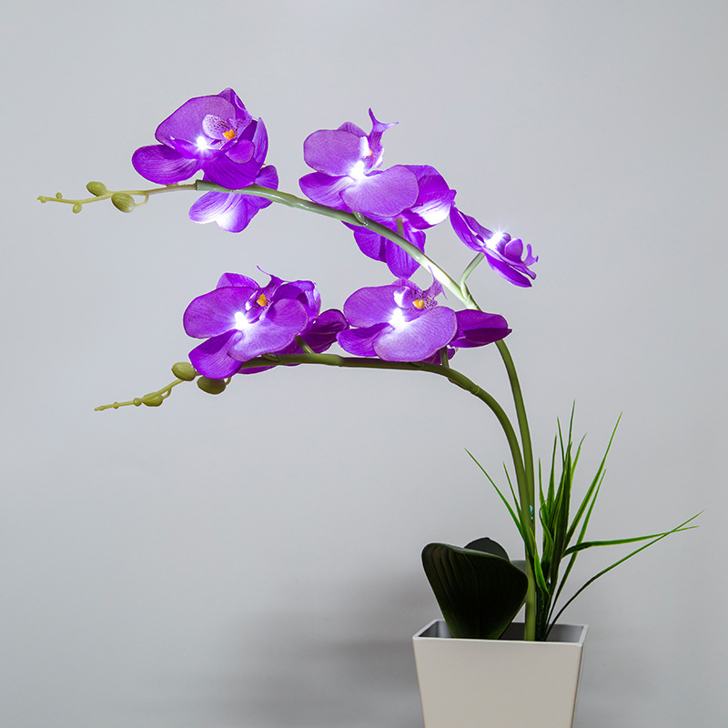 9led蝴蝶兰花灯紫色led兰花灯装饰台灯客厅柜台卖场装饰灯