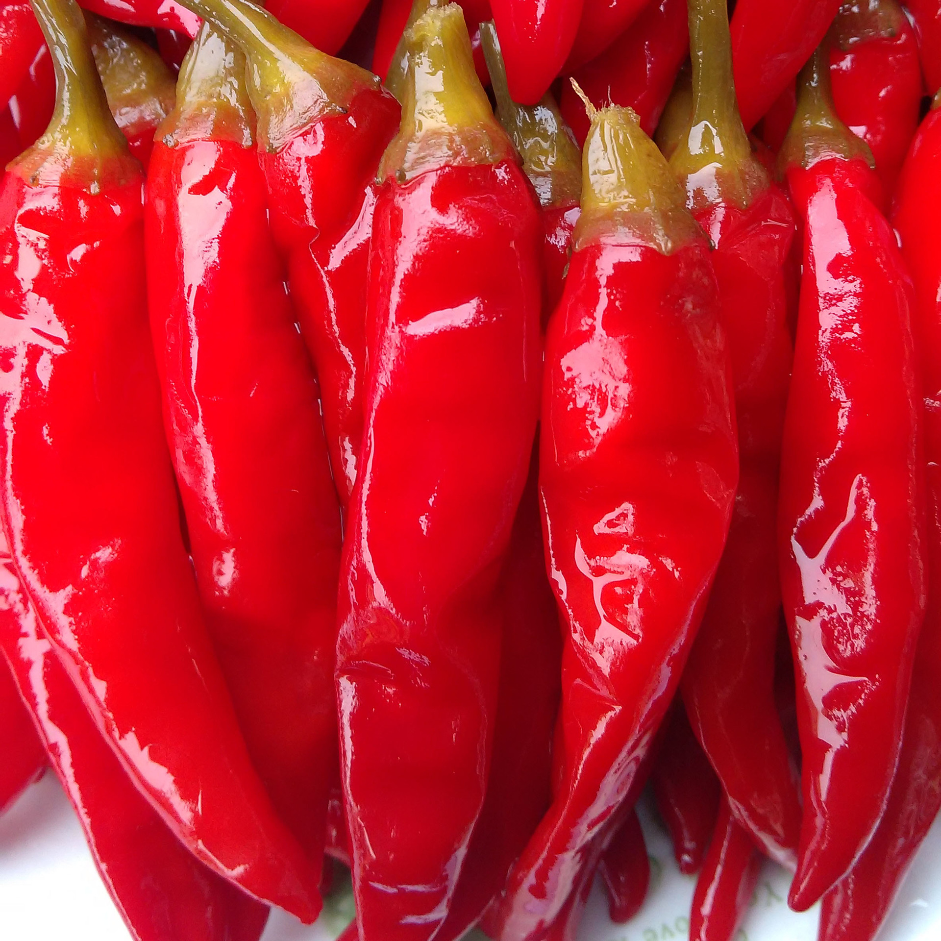 四川泡辣椒泡红小米辣辣椒30kg红小米椒泡菜酱红腌菜散装批发