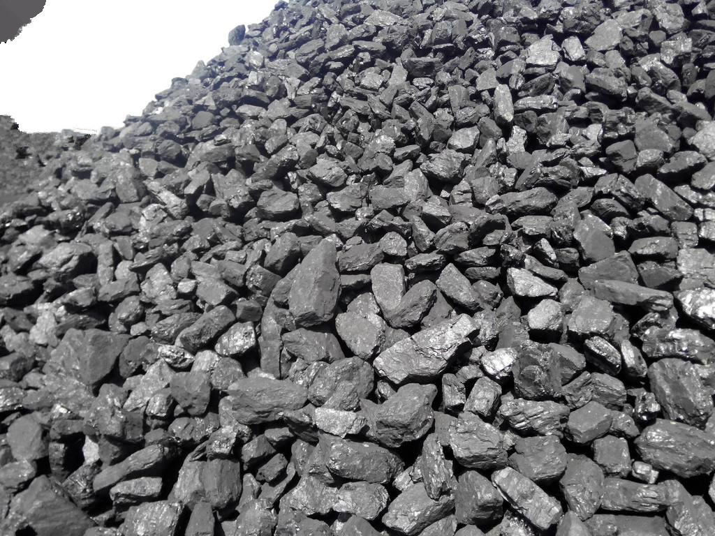 产地批发府谷神木鄂尔多斯优质煤炭精煤供应