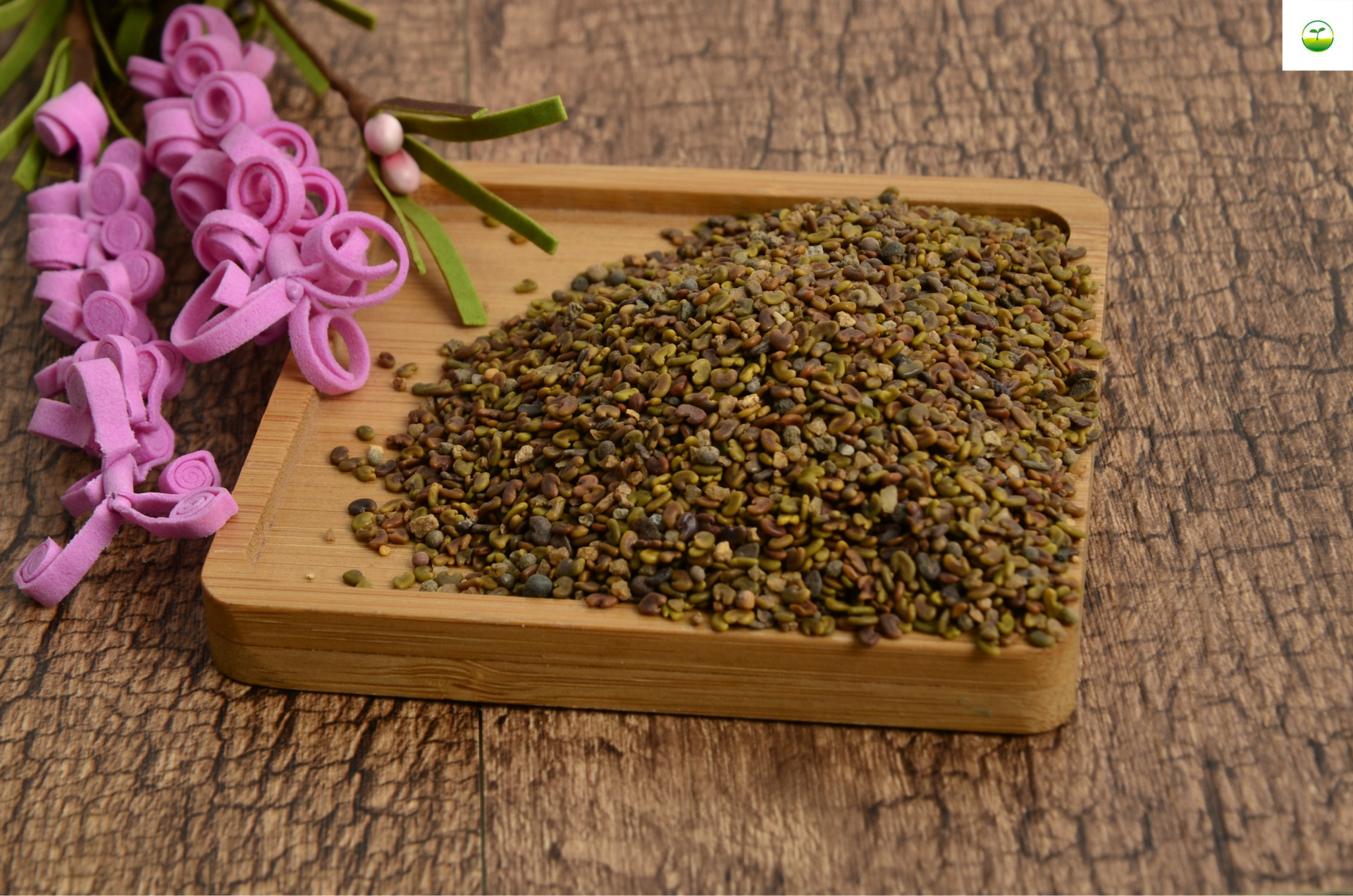 苜蓿草_批发牧草草籽黑麦草紫花草籽玉米草苏丹草菊苣鲁梅克斯量大优 