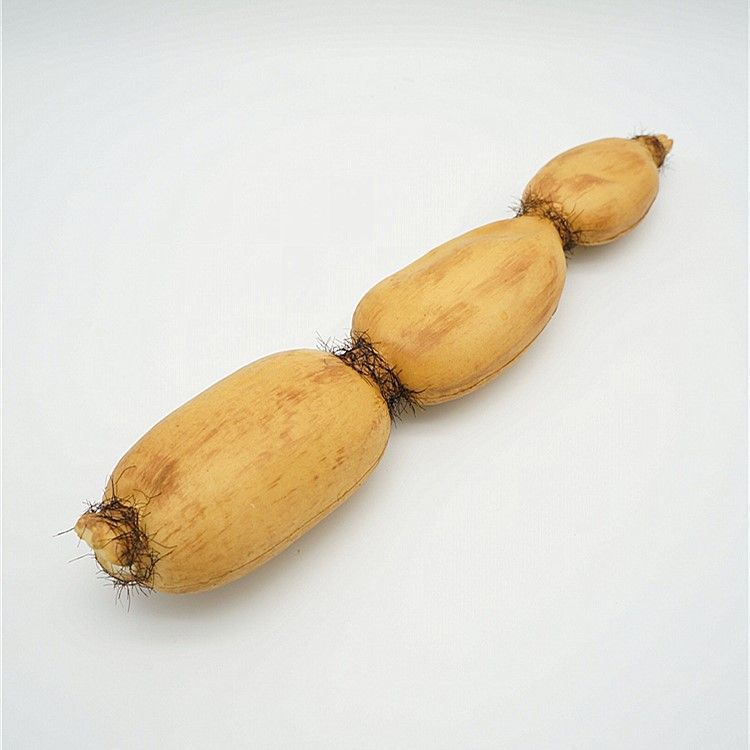 新品pu仿真莲藕假莲藕摄影模型 农家乐摆饰蔬菜批发水果道具定制