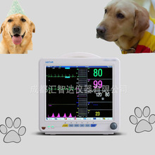 厂家直销汇智达12寸便携式动物兽用心电监护仪多参数宠物监护仪