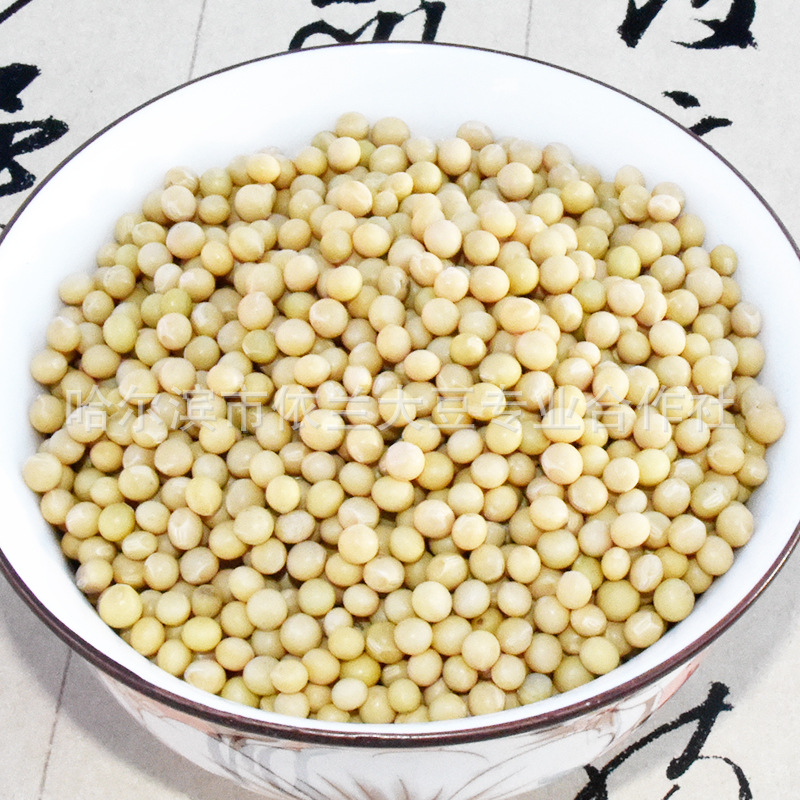 黑龙江豆浆_供应黑龙江690芽豆小粒芽豆超市 豆浆专用批发 - 阿里巴巴