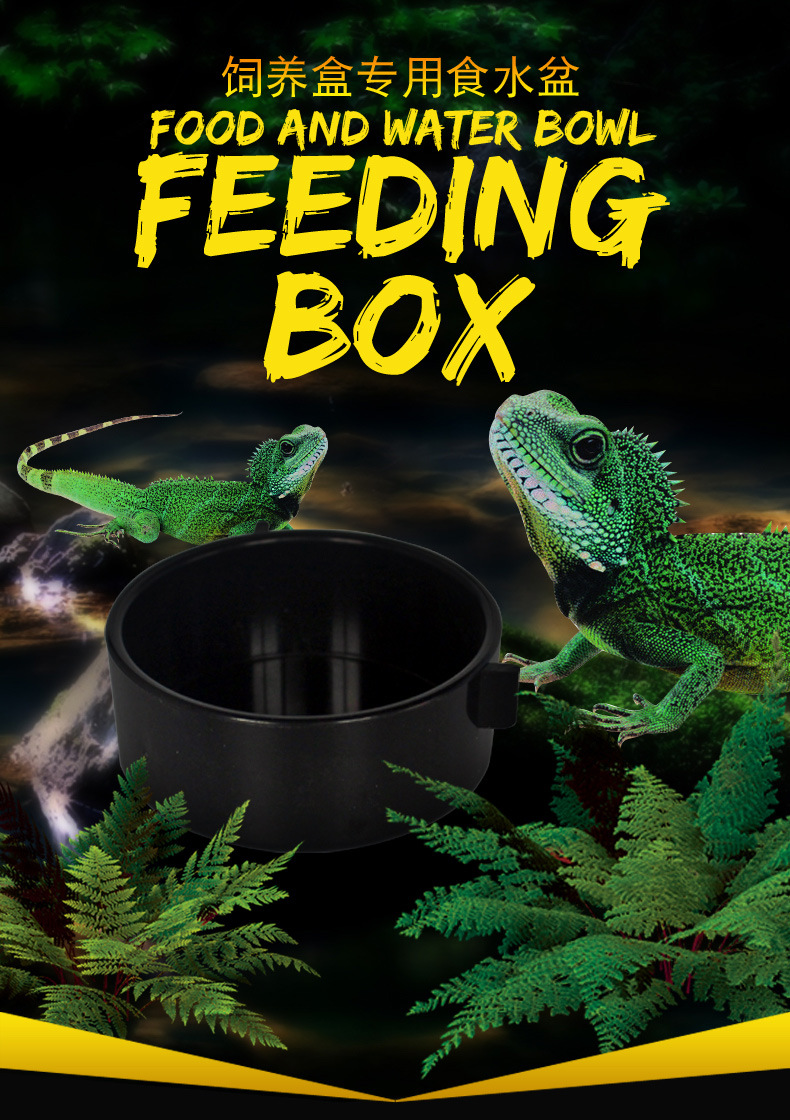 诺摩h0爬宠蛇蟒蜘蛛守宫蜥蜴蝎子蜈蚣角蛙壁虎甲虫昆虫饲养盒