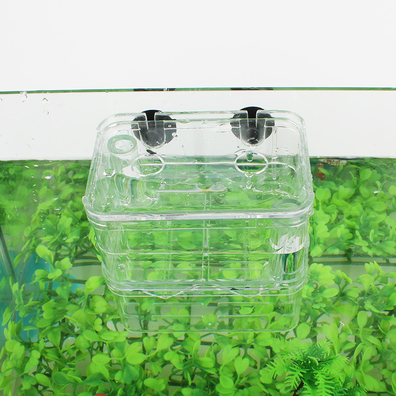 Fish Fry Incubator Guppy Transparent Breeding Box Douyu Isolation Box Acrylic Double-Layer Self-Floating Incubator Small Size