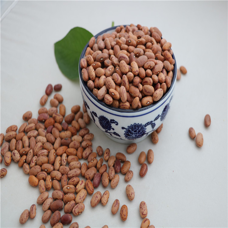 批发优质奶花豆 产地采购