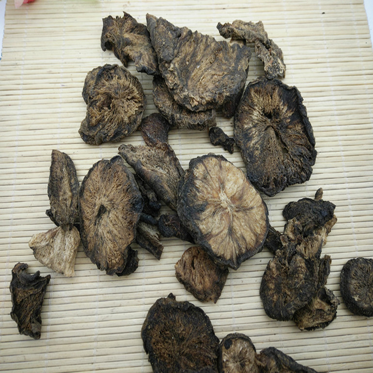 黑枯藤 245_副本