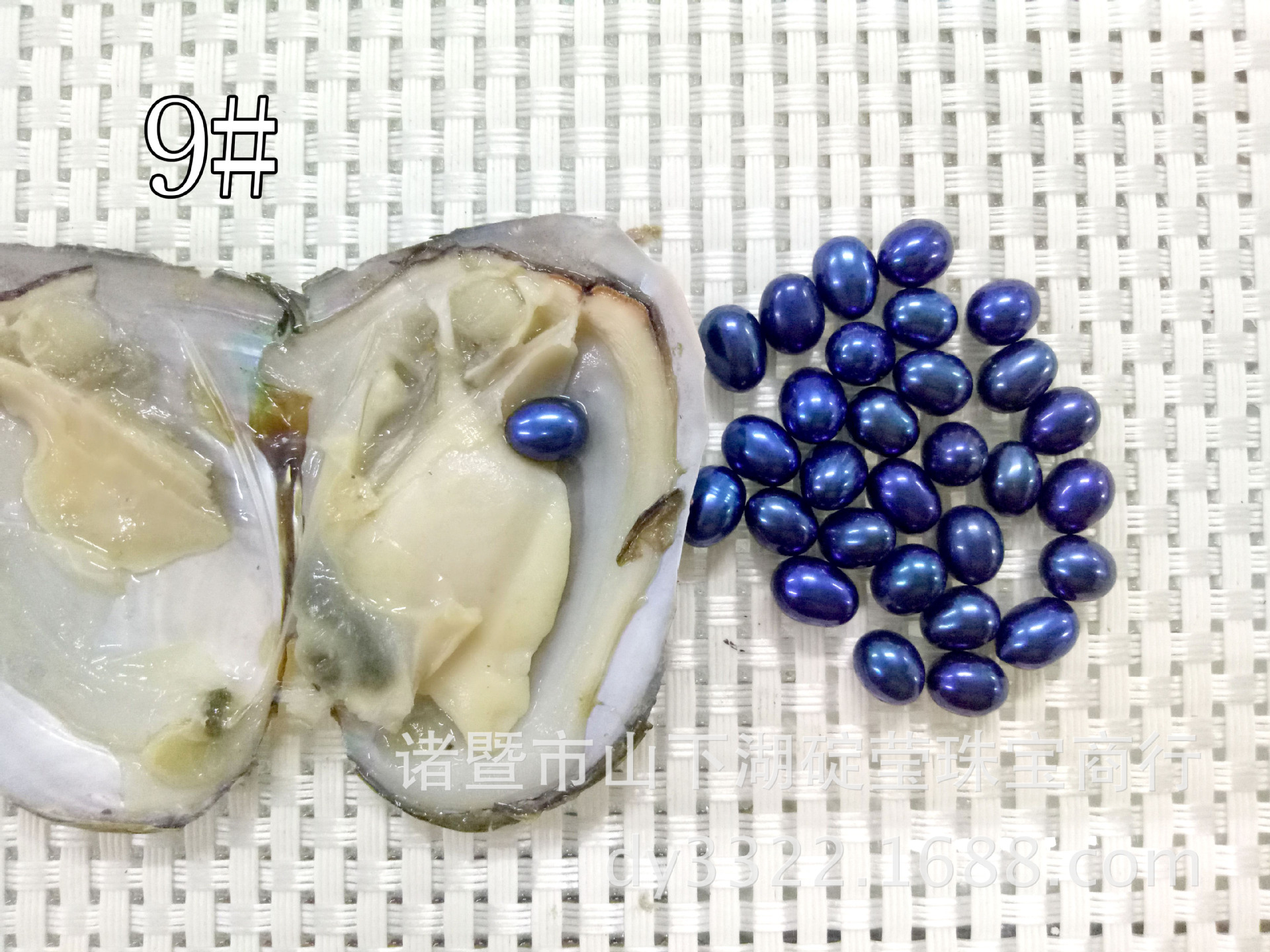5a淡水河蚌珍珠真空地摊珍珠海水蚌小贝一件起批彩色米形珍珠贝