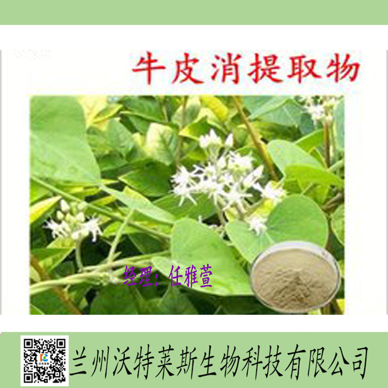 牛皮消提取物 飞来鹤提取物 耳叶牛皮消提取物 牛皮消多肽 提取液