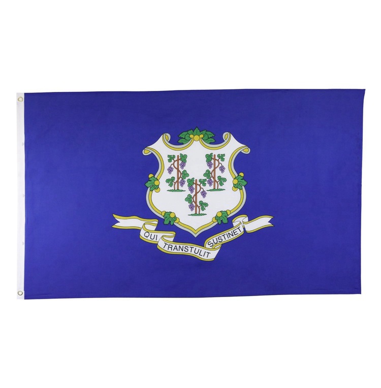 vichy flag 维希法国国旗定做 france flag 90x150cm