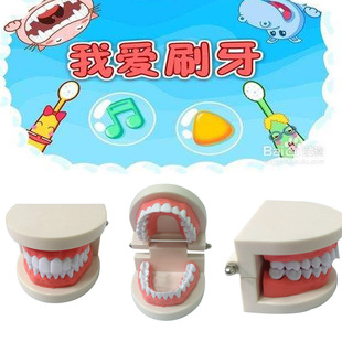 口腔模型牙科耗材齿科器械工具牙齿教学模型幼儿园教学刷牙模型
