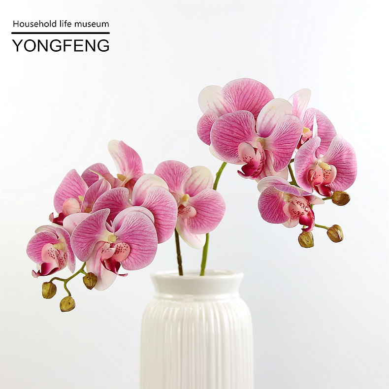 Factory Wholesale 3d Printing Pu Feel Phalaenopsis Emulational Flower and Silk Flower Wedding Home Decoration Photography Props Potted Plant