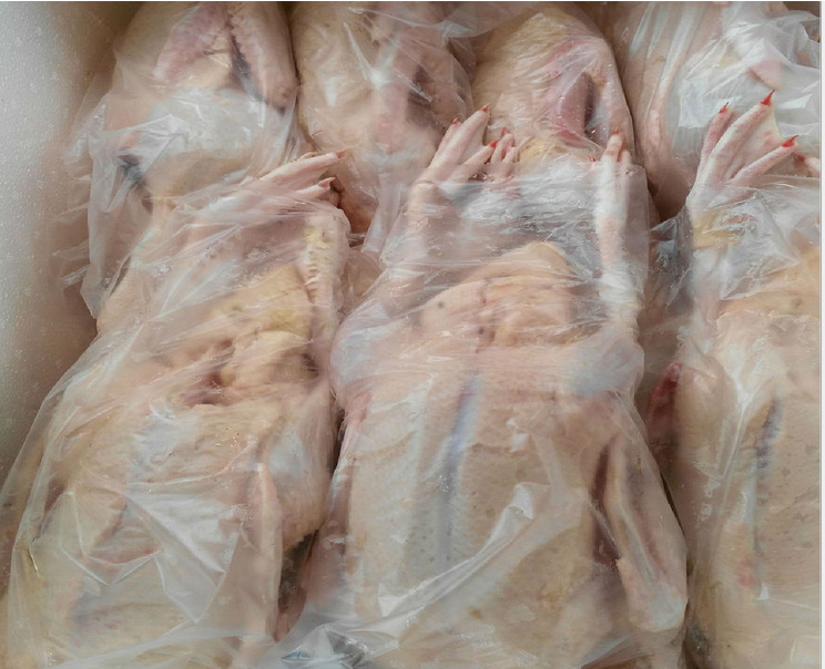 北京烤鸭专用鸭白条鸭厂家直销生鲜鸭冷冻鸭肉现杀现卖鸭肉