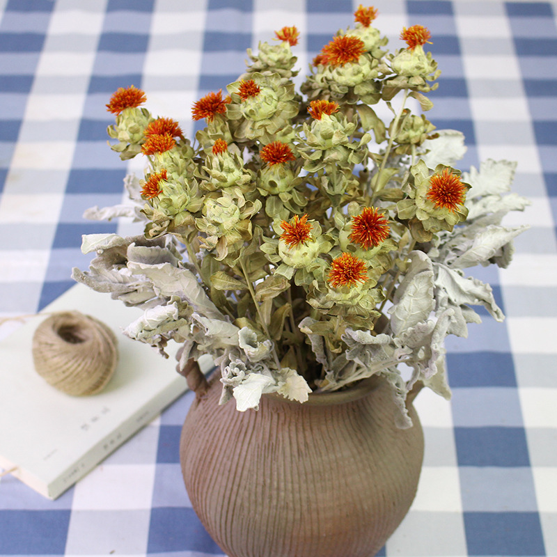 干花菠萝菊云南干花天然真花基地直发家居装饰搭配摆设插花