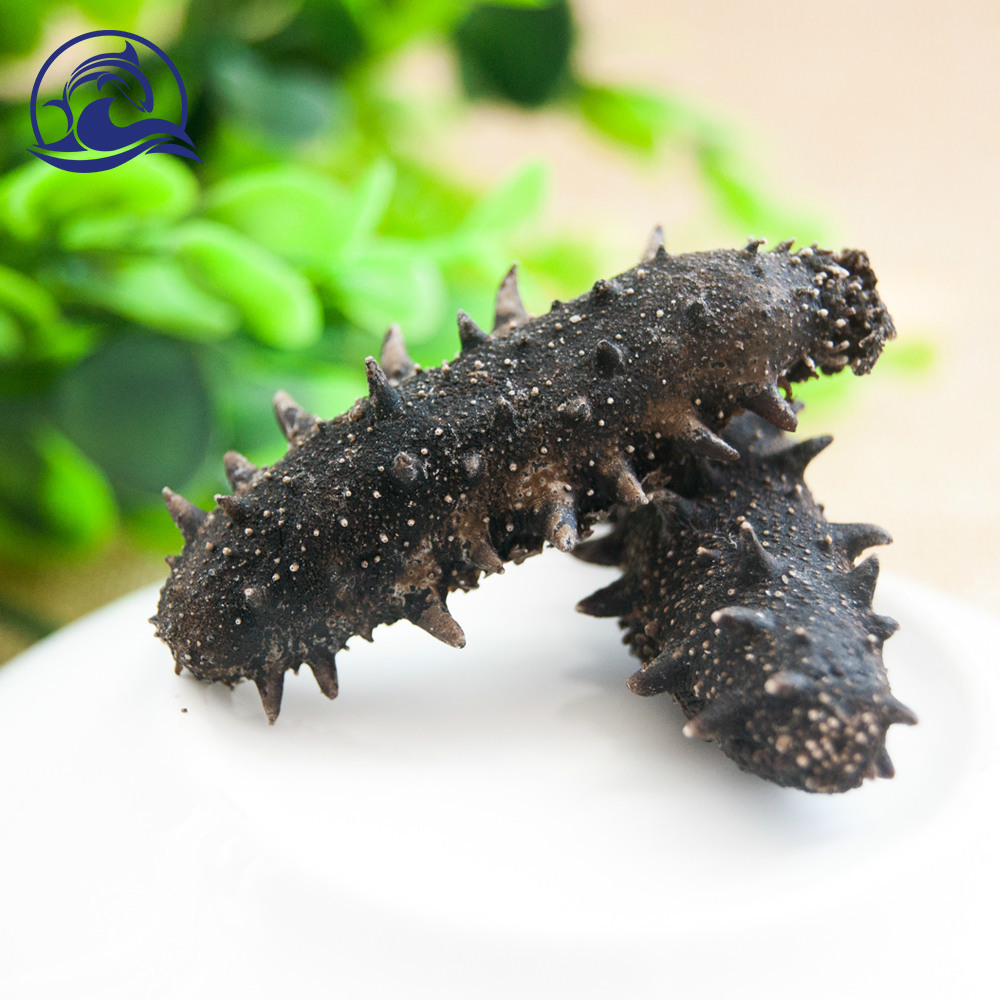 淡干海参干货50g刺参礼盒装非即食