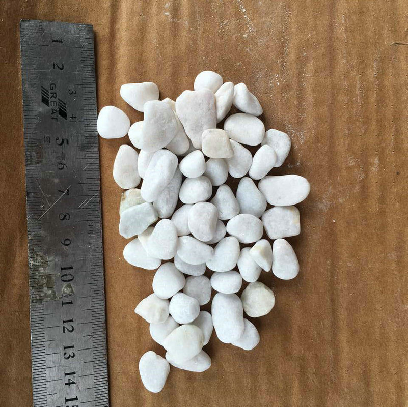 批发白色小石子 花园园林庭院造景景观石 天然草地装饰白色米石