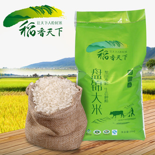 厂家直销盘锦大米 稻香天下袋装25kg东北大米厂家批发供应