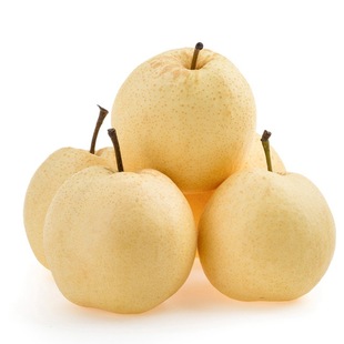 9 标签:梨子酥梨贡梨蜜梨   