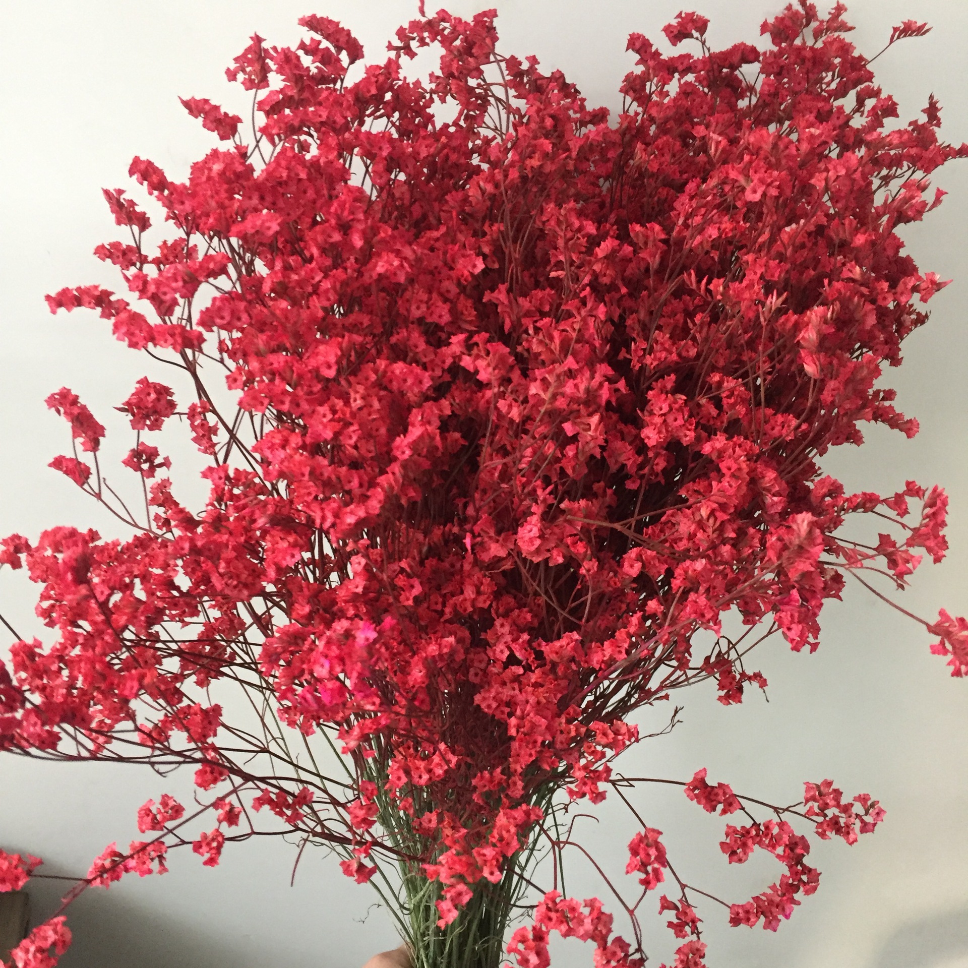 彩色水晶草云南干花基地直供八色