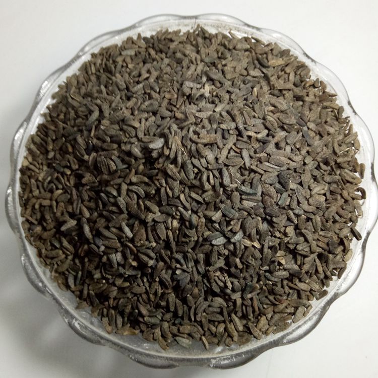 批发中药材牛蒡子 牛籽 牛子 各种规格 量大从优