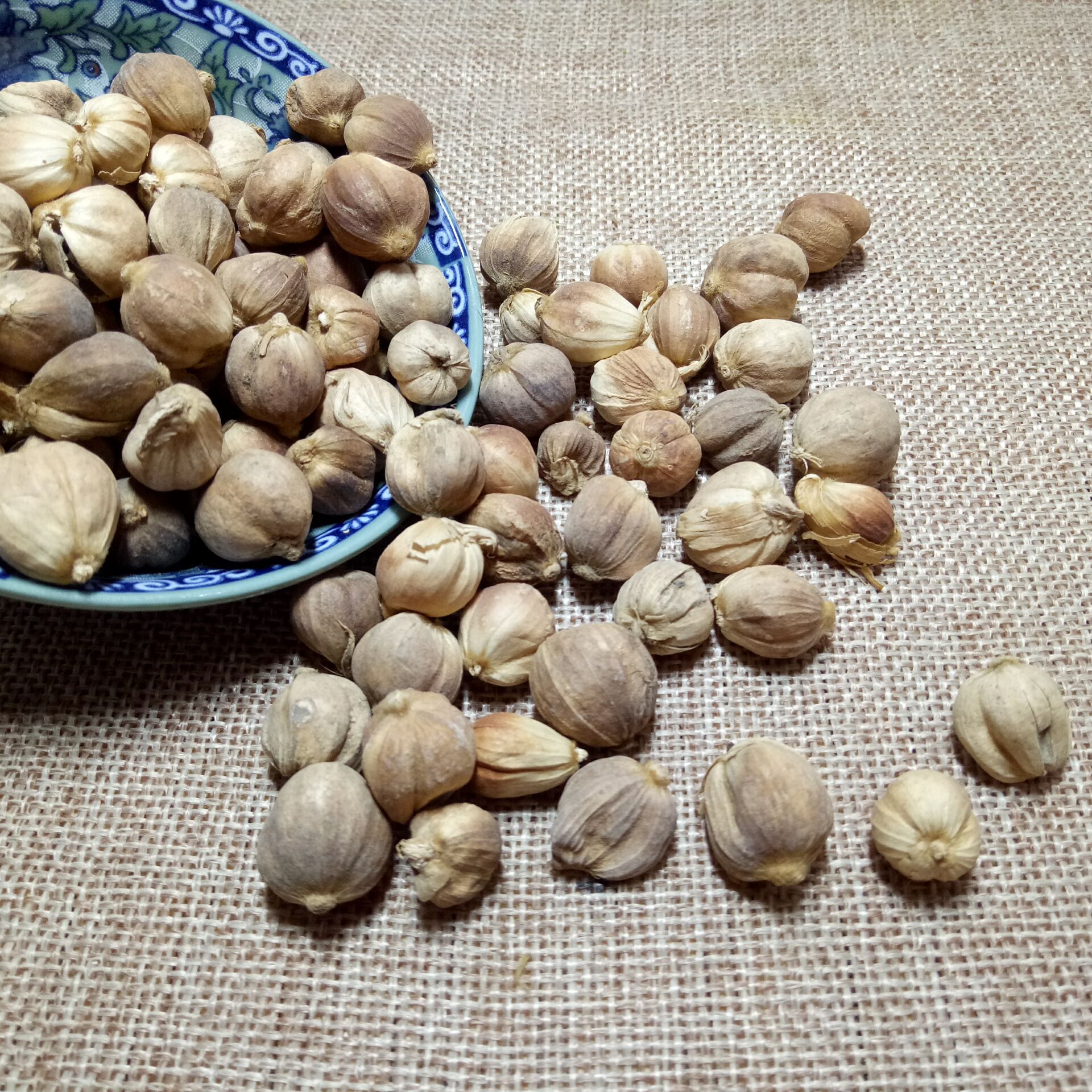 批发香料类白豆蔻壳蔻卤料火锅佐料 白叩粉 大量现货20吨