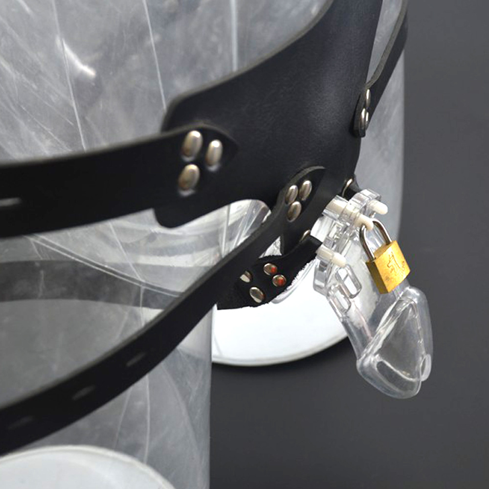 成人情趣用品穿戴贞洁器阴囊锁 另类鸟笼自慰器 男用防出轨性玩具