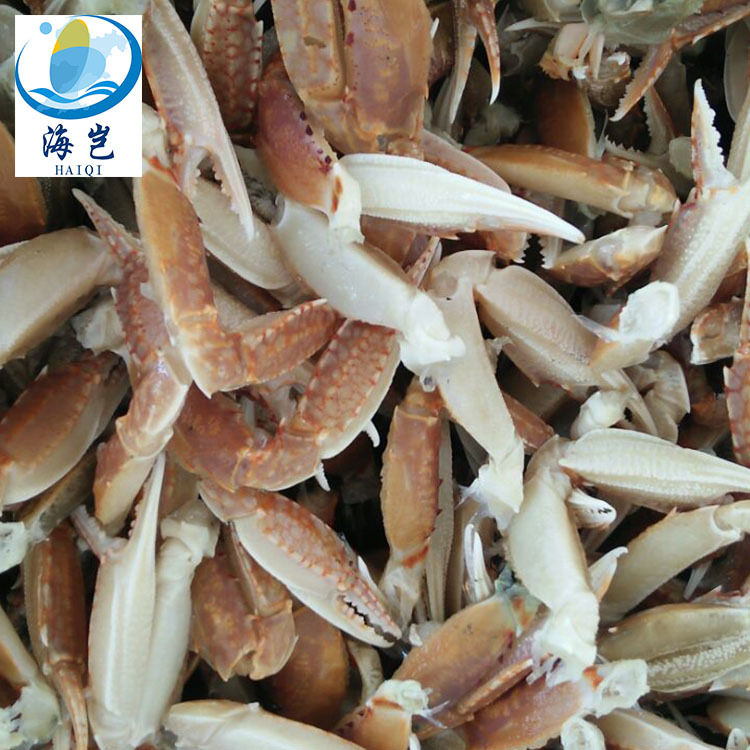 东山岛海鲜扁蟹脚 中号蟹钳9-11cm冷冻螃蟹脚厂家直销