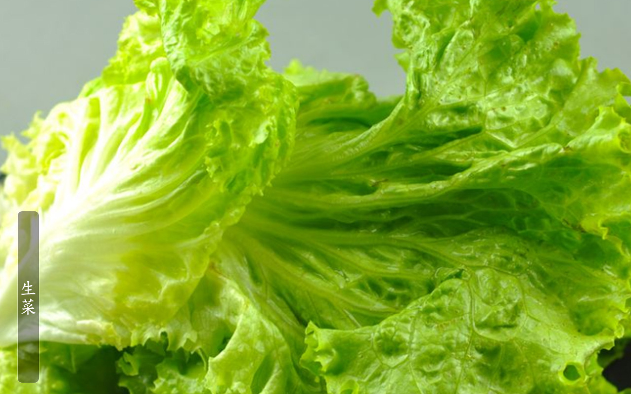 天然绿色蔬菜生菜叶批发 绿色无公害生菜蔬菜配送新鲜生菜