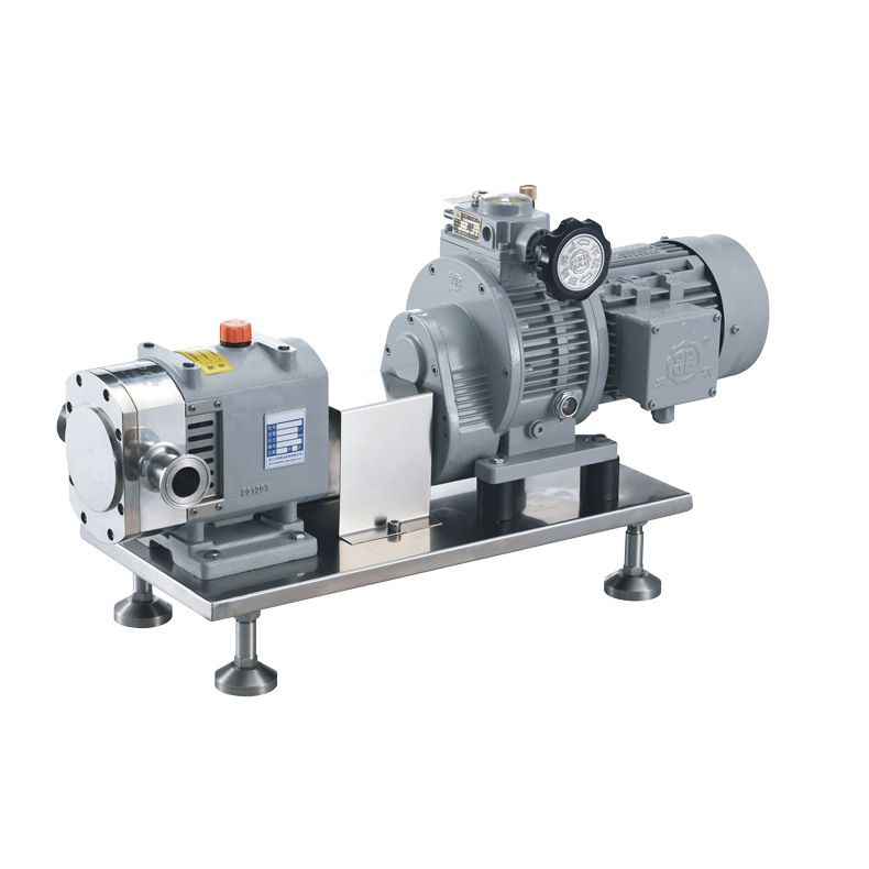 高浓度液体输送泵 厂家直销一级无极变速转子泵 优质可靠转子泵