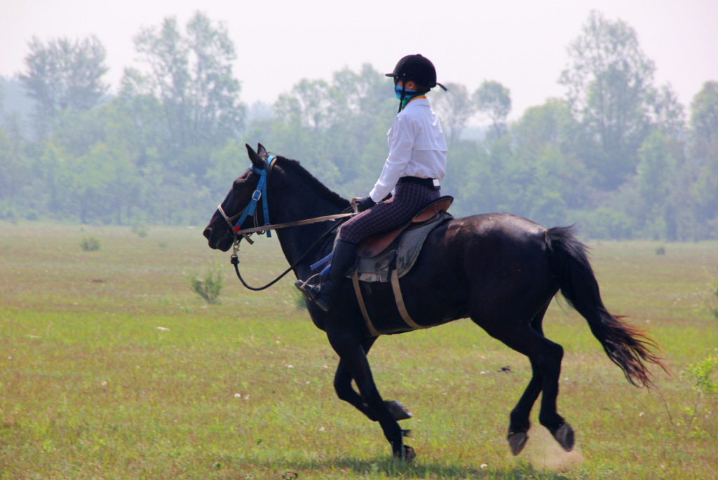 开着c6马场走一走,策马飞驰