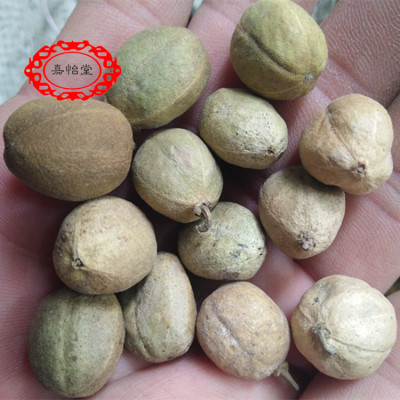 中药材批发葫芦巴豆籽 芦巴豆子葫芦巴保证质量