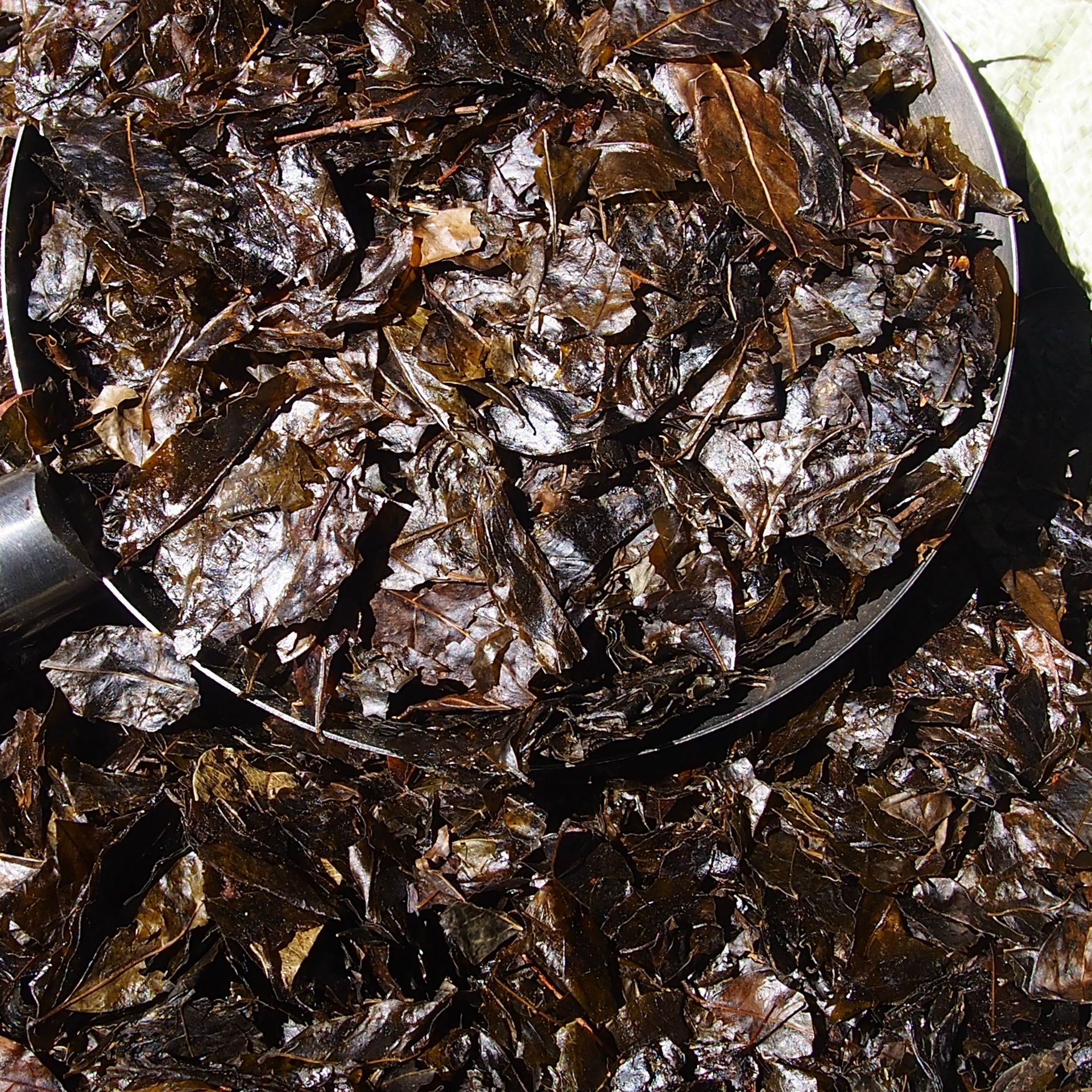 批发余庆大叶苦丁茶 散装贵州湄潭茶叶 遵义特产