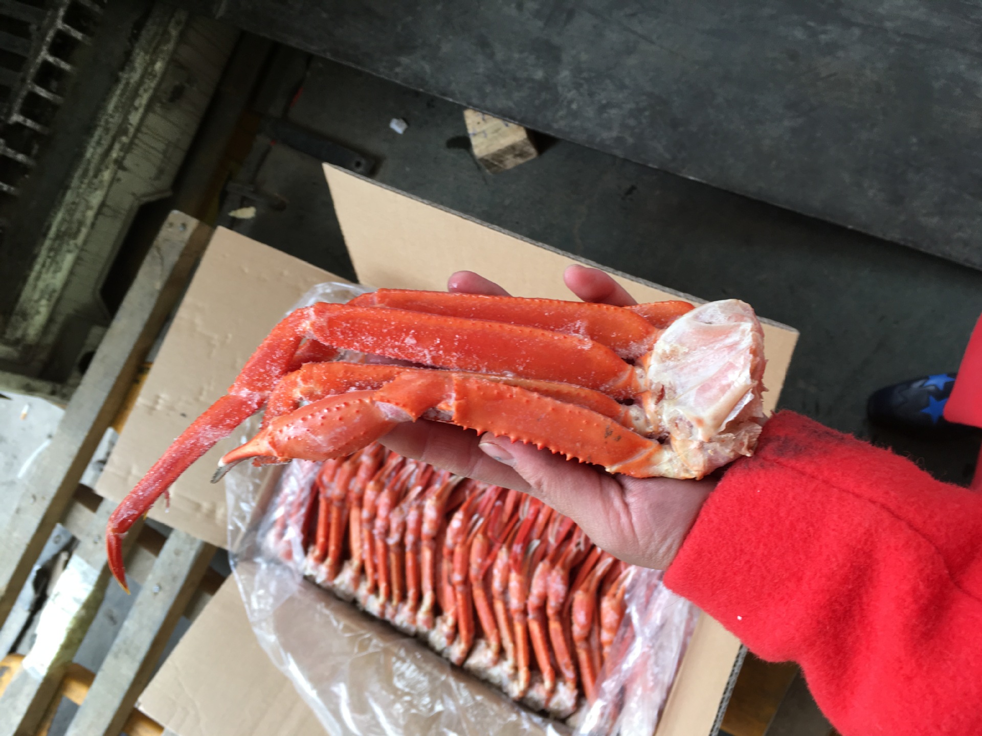 朝鲜红蟹腿雪蟹腿自助餐酒店批发冷冻蟹腿一手货源 l号8kg/件