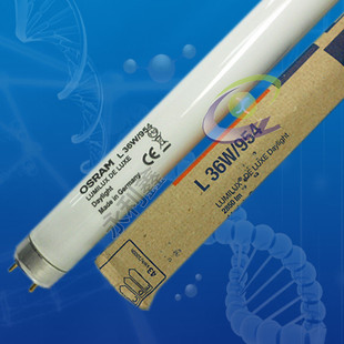 osram 欧司朗 l36w954 l 36w/954 对色灯管 现货批发