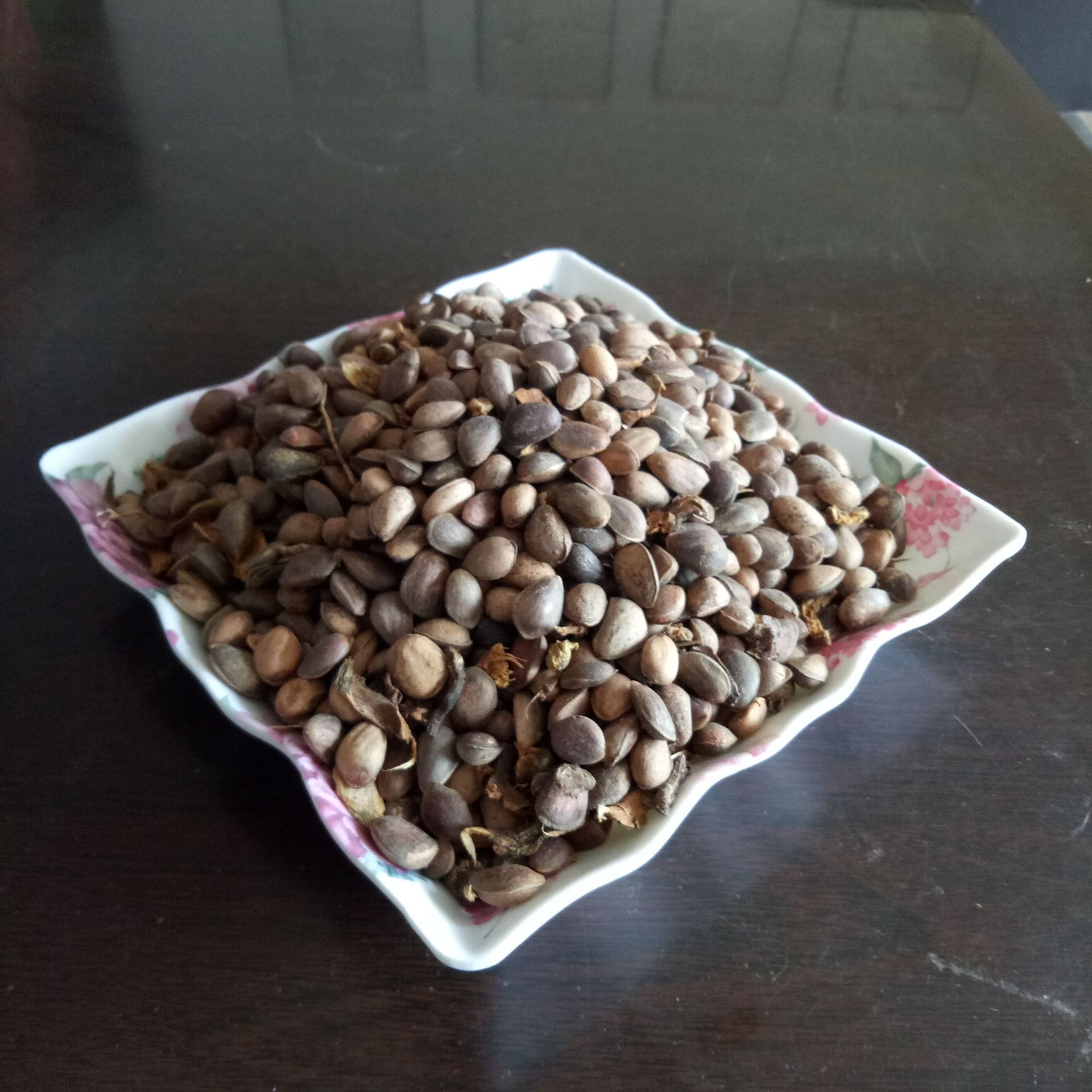 甘肃武都 华山松子 华山松塔 华山松仁 量大从优 厂家直销