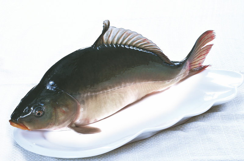 清江裸斑鱼 野生淡水鲫鱼 湖北鲜活水产养殖场 批发