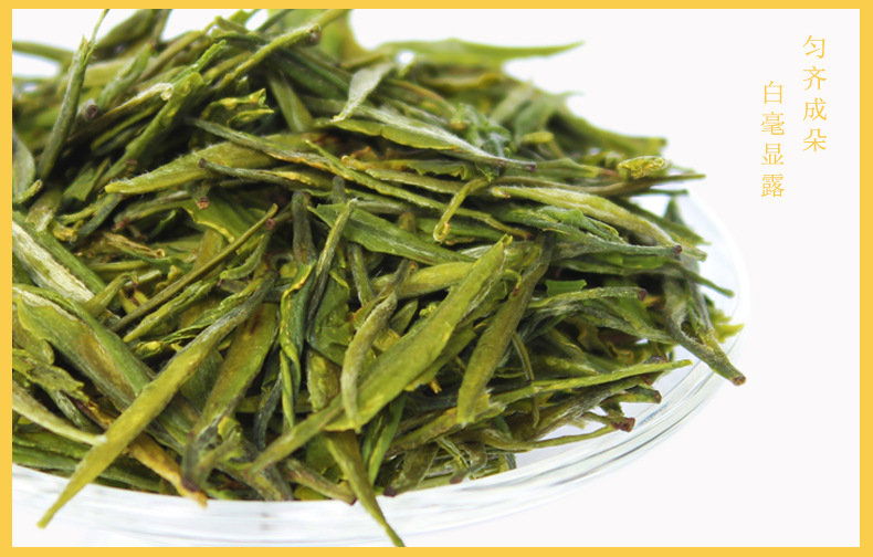 2020新茶早春头采手工茶叶 黄芽早嫩芽散装 清香透彻黄茶一斤起批