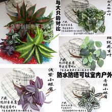 仿真绿植墙植物墙装饰仿真草坪塑料绿色假植物客厅影视墙背景装修