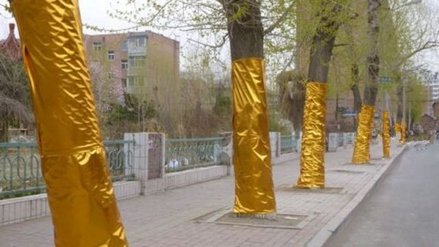 金布泡泡金布包柱子包树褶皱金布抓皱包墙装饰布定制批发